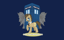 Size: 1440x900 | Tagged: safe, artist:hezaa, edit, editor:fullmetal-landon, doctor whooves, time turner, pony, g4, doctor who, male, ponified, solo, sonic screwdriver, stallion, statue, tardis, tenth doctor, the doctor, wallpaper, wallpaper edit, weeping angel