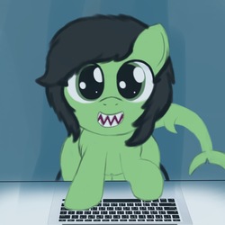 Size: 2000x2000 | Tagged: safe, artist:redcrow32, oc, oc only, oc:filly anon, original species, pony, shark pony, female, filly, fins, high res, keyboard, looking at you, sharp teeth, simple background, smiling, solo, species swap, teeth, typing, underwater
