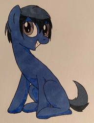 Size: 738x960 | Tagged: safe, artist:wolftendragon, oc, oc only, oc:hank, earth pony, pony, male, solo, stallion, traditional art