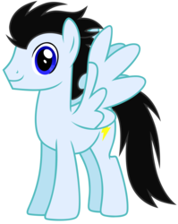 Size: 4896x6138 | Tagged: safe, artist:andoanimalia, oc, oc only, oc:lightning, pegasus, pony, absurd resolution, male, pegasus oc, simple background, solo, stallion, transparent background, vector, wings