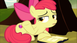 Size: 1671x938 | Tagged: safe, screencap, apple bloom, earth pony, pony, g4, marks for effort, book, cutie mark, dismissive, female, filly, lidded eyes, prone, shrug, the cmc's cutie marks