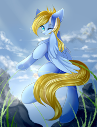 Size: 2000x2600 | Tagged: safe, artist:玉莺, oc, oc only, oc:enderby, pegasus, pony, blue coat, chest fluff, cloud, commission, detailed background, grass, high res, looking at you, male, one eye closed, rock, sky, smiling, solo, spread wings, stallion, wings