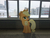 Size: 3264x2448 | Tagged: safe, artist:albertuha, applejack, earth pony, pony, g4, female, frown, high res, irl, mare, photo, ponies in real life, smiling, snow, solo, winter