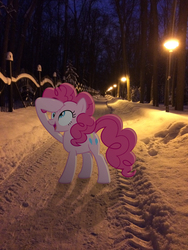 Size: 2448x3264 | Tagged: safe, artist:albertuha, pinkie pie, earth pony, pony, g4, female, high res, irl, mare, night, photo, ponies in real life, raised hoof, smiling, snow, solo, winter