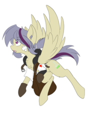 Size: 3024x4032 | Tagged: safe, artist:steelsoul, oc, oc only, oc:elixer, pegasus, pony, bag, clothes, gloves, high res, jacket, male, simple background, solo, two toned mane, two toned tail