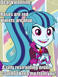 Size: 748x998 | Tagged: safe, edit, edited screencap, editor:abronyaccount, screencap, sonata dusk, equestria girls, g4, my little pony equestria girls: rainbow rocks, adoracreepy, caption, creepy, cropped, cute, female, gem, holiday, image macro, meme, overly attached girlfriend, poem, restraining order, siren gem, smiling, solo, sonatabetes, spiked wristband, text, text edit, this will end in jail time, valentine, valentine's day, wristband, yandere