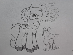 Size: 2576x1932 | Tagged: safe, artist:drheartdoodles, oc, oc only, oc:dr.heart, clydesdale, pony, chest fluff, reference sheet, size difference, sketch, solo, traditional art