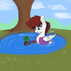 Size: 3000x3000 | Tagged: safe, artist:aurorafang, oc, oc only, oc:graph travel, duck, pegasus, pony, animal, behaving like a bird, behaving like a duck, clothes, cloud, female, freckles, giggling, graph believe being bird, grass, high res, lake, mare, mountain, pegaduck, solo, text, tree, vest