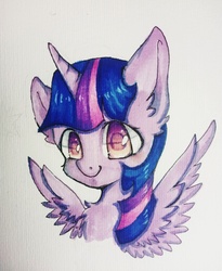 Size: 3096x3770 | Tagged: dead source, safe, artist:llllllllleft, twilight sparkle, alicorn, pony, g4, female, high res, mare, solo, traditional art, twilight sparkle (alicorn)