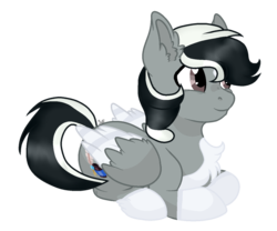 Size: 1024x850 | Tagged: safe, artist:seaswirlsyt, oc, oc only, oc:ink quill, pegasus, pony, male, prone, simple background, solo, stallion, transparent background, two toned wings