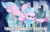 Size: 600x386 | Tagged: safe, edit, edited screencap, editor:twilyisbestpone, screencap, silverstream, classical hippogriff, hippogriff, g4, my little pony: friendship is magic, season 8, what lies beneath, angry, beak, caption, eyelashes, female, flying, image macro, imminent boop, impact font, narrowed eyes, pointing, school of friendship, solo, spread wings, text, threat, wings