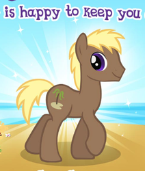 Size: 335x395 | Tagged: safe, gameloft, coco crusoe, pony, g4, looking at you, male, meme, stallion, wow! glimmer