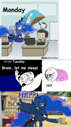 Size: 550x986 | Tagged: safe, princess luna, pony, g4, alcohol, beer, brain, coffee, drunk, drunk luna, meme, monday, office, rage face, sleeping, wat, working