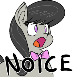 Size: 468x493 | Tagged: safe, artist:reiduran, edit, octavia melody, earth pony, pony, g4, bowtie, caption, cockney, cute, ear fluff, female, image macro, mare, meme, nice, noice, octchavia, open mouth, reaction image, simple background, solo, tavibetes, text, transparent background