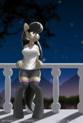 Size: 675x1000 | Tagged: safe, artist:iloota, octavia melody, earth pony, anthro, unguligrade anthro, g4, balcony, bow, breasts, busty octavia melody, clothes, female, gym shorts, leaning back, mare, neck bow, night, purple eyes, sexy, shirt, shorts, socks, solo, t-shirt, thigh highs, thighs