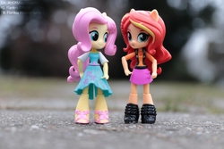 Size: 6000x4000 | Tagged: safe, artist:artofmagicpoland, fluttershy, sunset shimmer, equestria girls, g4, my little pony equestria girls: better together, clothes, doll, dress, equestria girls minis, female, irl, photo, skirt, toy