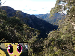 Size: 1280x957 | Tagged: safe, artist:didgereethebrony, daring do, pony, g4, australia, canyon, cliff, didgeree collection, eucalyptus, irl, kanangra boyd national park, mlp in australia, photo, ponies in real life, solo, valley, wide eyes