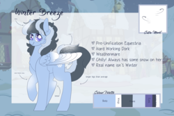 Size: 3000x2000 | Tagged: safe, artist:liefsong, oc, oc only, oc:winter breeze, pegasus, pony, commission, high res, reference sheet