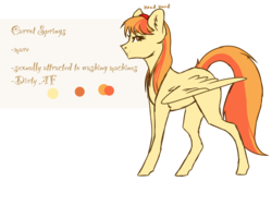 Size: 2048x1536 | Tagged: safe, artist:rxsiex3, oc, oc only, oc:carrot spring, pony, solo
