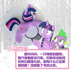 Size: 640x636 | Tagged: safe, spike, twilight sparkle, alicorn, dragon, pony, unicorn, g4, china, china ponycon, chinese, irl, photo, plushie, twilight sparkle (alicorn), unicorn twilight