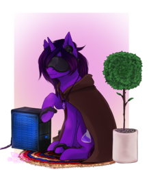 Size: 1937x2218 | Tagged: safe, artist:screaming_cat, oc, oc only, oc:nova aurora, pony, unicorn, cloak, clothes, computer, female, jewelry, mare, necklace, plant, rug, solo, virtual reality, ych result