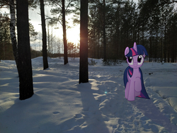 Size: 4000x3000 | Tagged: safe, artist:albertuha, twilight sparkle, pony, unicorn, g4, female, forest, irl, mare, photo, ponies in real life, smiling, snow, solo, unicorn twilight, winter