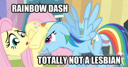 Size: 625x331 | Tagged: safe, edit, edited screencap, screencap, fluttershy, rainbow dash, pegasus, pony, g4, the crystal empire, butt, caption, denial, faceful of ass, female, flutterbutt, image macro, lesbian, mare, meme, out of context, plot, ship:flutterdash, shipping fuel, spread wings, text, wingboner, wings