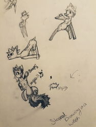 Size: 3072x4096 | Tagged: safe, artist:goon.mp3, oc, pony, raider, sketch, traditional art