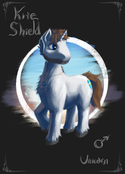 Size: 1000x1400 | Tagged: safe, artist:eqlipse, oc, oc:kite shield, crystal pony, pony, male, reference sheet, stallion