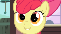 Size: 1669x942 | Tagged: safe, screencap, apple bloom, earth pony, pony, g4, one bad apple, adorabloom, bow, close-up, cropped, cute, female, filly, hair bow, smiling
