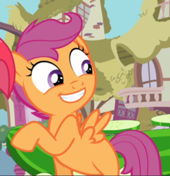 Size: 773x797 | Tagged: safe, screencap, apple bloom, scootaloo, earth pony, pegasus, pony, g4, one bad apple, cropped, cute, cutealoo, female, filly, grin, looking back, offscreen character, smiling, solo focus