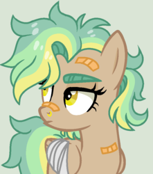 Size: 720x814 | Tagged: dead source, safe, artist:grumppanda, oc, oc only, oc:golden daze, pegasus, pony, bandage, female, mare, nose piercing, piercing, simple background, solo