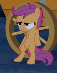 Size: 565x719 | Tagged: safe, screencap, scootaloo, pegasus, pony, g4, sleepless in ponyville, belly, bipedal, bipedal leaning, cropped, female, filly, leaning, leaning back, scootaloo is not amused, solo, unamused, wagon, wagon wheel, wheel