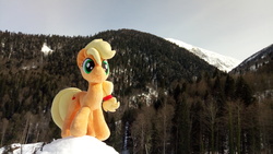 Size: 4096x2304 | Tagged: safe, applejack, earth pony, pony, g4, female, irl, mare, mountain, photo, plushie, sign, snow, solo, tree