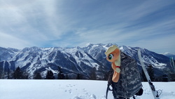 Size: 4096x2304 | Tagged: safe, applejack, pony, g4, backpack, high res, irl, mountain, photo, plushie, sign, snow, snowboard