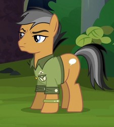 Size: 535x595 | Tagged: safe, screencap, quibble pants, earth pony, pony, g4, season 6, stranger than fan fiction, cropped, cutie mark, male, solo