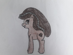 Size: 4128x3096 | Tagged: safe, artist:juani236, oc, oc only, oc:couchry desim, pony, brown eyes, brown mane, solo, traditional art, zipper