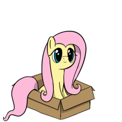 Size: 3700x3700 | Tagged: safe, artist:czu, fluttershy, pegasus, pony, g4, box, cute, female, flutterbox, high res, mare, pony in a box, shyabetes, simple background, sitting