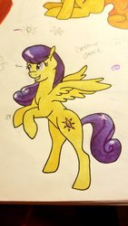 Size: 1152x2048 | Tagged: safe, artist:honeybeepony, oc, oc:sunshine dazzle, pony, traditional art