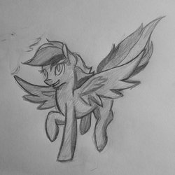 Size: 2048x2048 | Tagged: safe, artist:honeybeepony, rainbow dash, pony, g4, high res, sketch, traditional art