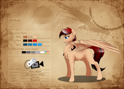 Size: 4200x3000 | Tagged: safe, artist:alexskleinewelt, artist:skitsroom, artist:tokokami, oc, oc only, oc:alex bash, pegasus, pony, cutie mark, reference sheet, simple background, solo