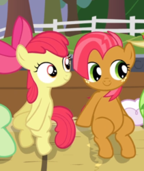 Size: 519x614 | Tagged: safe, screencap, apple bloom, babs seed, earth pony, pony, apple family reunion, g4, adorababs, adorabloom, bow, cousins, cropped, cute, female, filly, freckles, hair bow, sitting, smiling