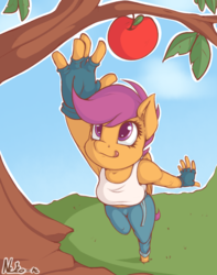 Size: 906x1152 | Tagged: safe, artist:neko-me, scootaloo, pegasus, anthro, unguligrade anthro, apple bloomers, g4, apple, apple tree, armpits, balancing, breasts, busty scootaloo, clothes, female, fingerless gloves, food, gloves, jeans, licking, licking lips, midriff, older, pants, reaching, shirt, solo, tank top, tongue out, tree, weapon