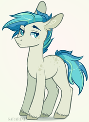 Size: 456x624 | Tagged: safe, artist:sararini, oc, oc only, earth pony, pony, male, simple background, solo, stallion, white background
