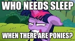 Size: 320x178 | Tagged: safe, edit, edited screencap, screencap, twilight sparkle, g4, lesson zero, addiction, brony, caption, crazy face, cropped, faic, fangirl, image macro, in-universe pegasister, obsession, sleep is for the weak, text, twilight snapple