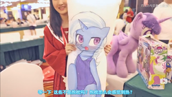 Size: 1366x768 | Tagged: safe, spike, trixie, twilight sparkle, alicorn, human, g4, body pillow, china, irl, irl human, photo, plushie, twilight sparkle (alicorn)