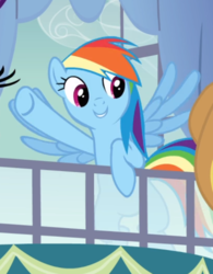 Size: 536x687 | Tagged: safe, screencap, rainbow dash, pegasus, pony, g4, spike at your service, cropped, cute, dashabetes, female, mare, offscreen character, raised hoof, smiling, solo, spread wings, window, wings