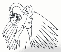 Size: 1440x1224 | Tagged: safe, artist:summerium, oc, oc only, oc:summer lights, pegasus, pony, glasses, grin, male, photo, smiling, solo, traditional art, wings