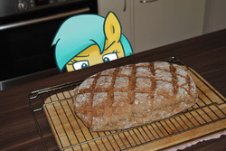 Size: 1278x855 | Tagged: safe, artist:bakpony, sunshower raindrops, pegasus, pony, g4, bread, female, food, irl, photo, ponies in real life, solo, that pony sure does love bread