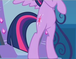 Size: 1208x941 | Tagged: safe, screencap, twilight sparkle, alicorn, pony, equestria girls, g4, my little pony equestria girls, belly, bipedal, cropped, female, legs, mirror portal, pictures of bellies, pictures of legs, standing on two hooves, twilight sparkle (alicorn), wings